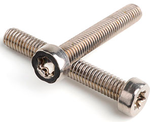 M2 X 14 TX6 LOW HEAD CAP SCREW ISO 14580 A2 ST/ST